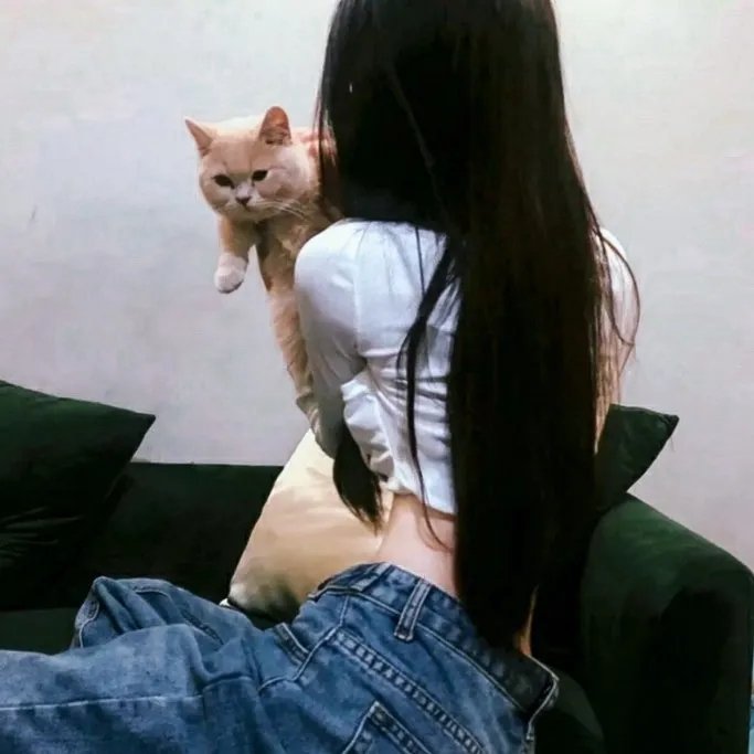 虎鲨王
