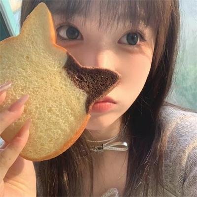 明月守护者
